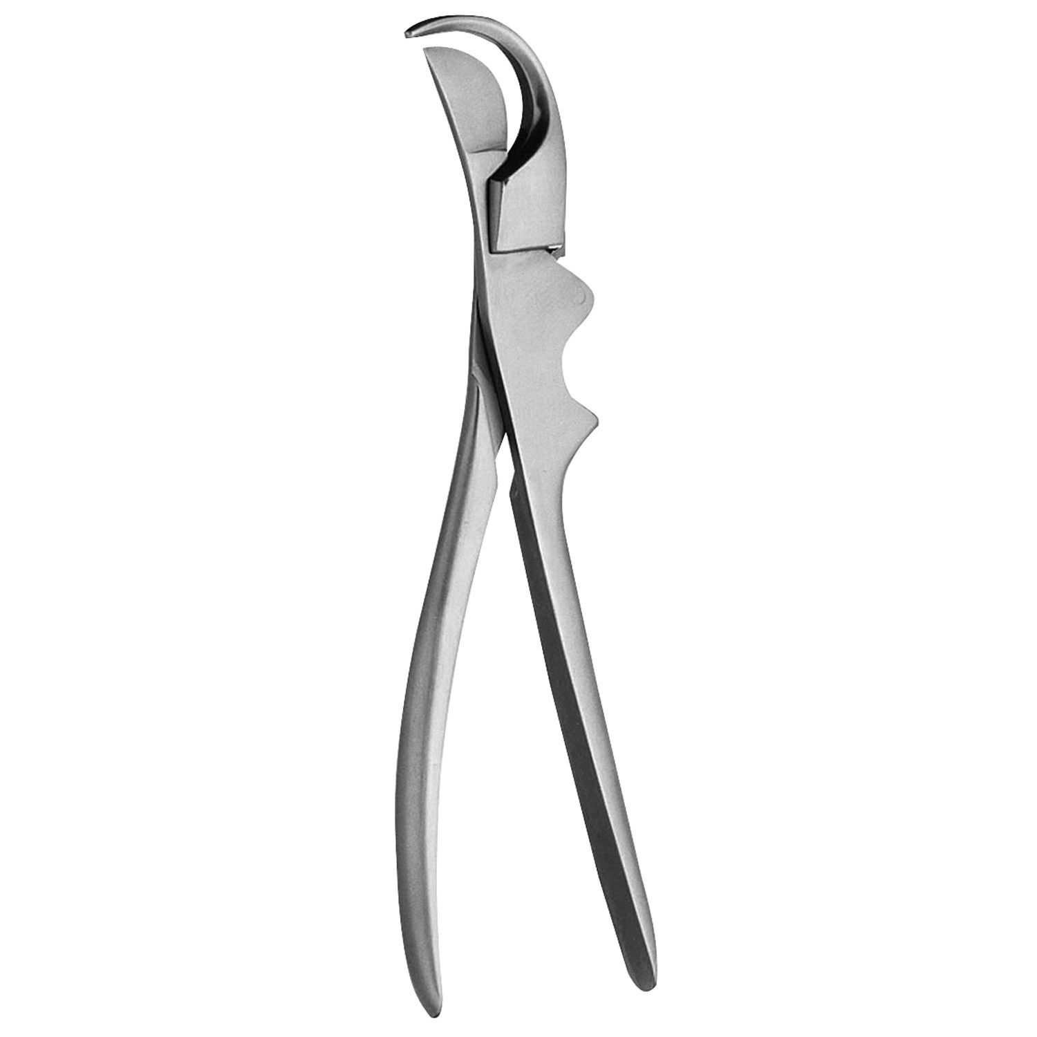 Gluck Rib Shears, 7 1/2" (19.0 Cm)